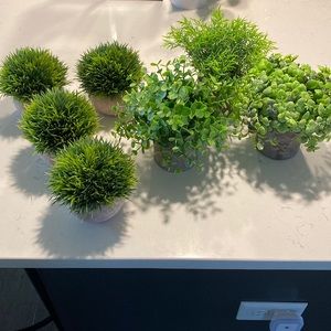 Artificial Potted Plants, seven total. Four of one style, three of the other.